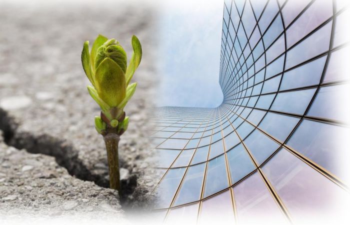Enabling Sustainability Transitions